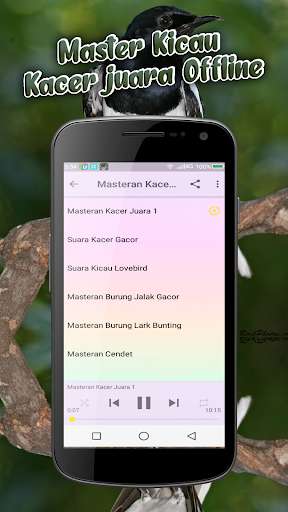 Run android online APK Master Kicau Kacer Juara (Offline) from MyAndroid or emulate Master Kicau Kacer Juara (Offline) using MyAndroid