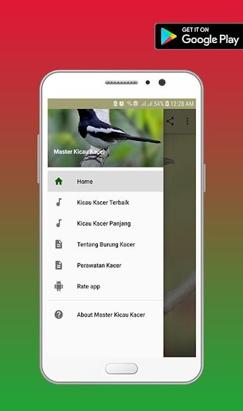 Run android online APK Master Kicau Kacer from MyAndroid or emulate Master Kicau Kacer using MyAndroid Run android online APK Master Kicau Kacer from MyAndroid or emulate Master Kicau Kacer using MyAndroid