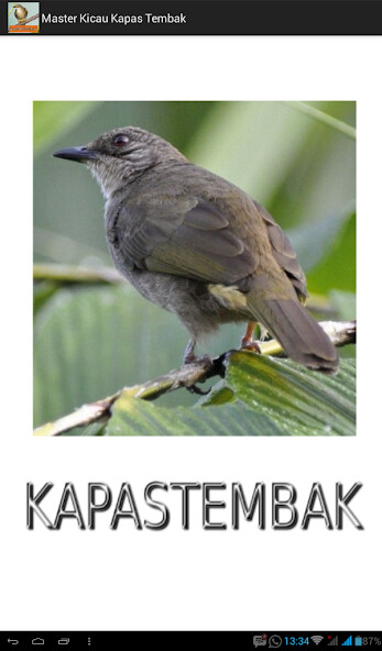 Run android online APK Master Kicau Kapas Tembak from MyAndroid or emulate Master Kicau Kapas Tembak using MyAndroid