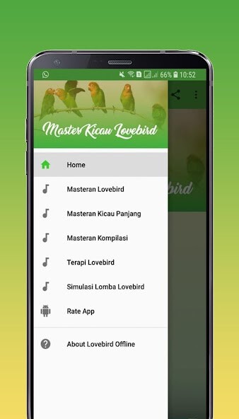 Run android online APK Master Kicau Lovebird Offline from MyAndroid or emulate Master Kicau Lovebird Offline using MyAndroid