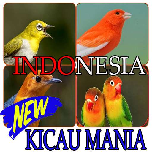 Run android online APK Master Kicau & Master Pikat Indonesia 2020 from MyAndroid or emulate Master Kicau & Master Pikat Indonesia 2020 using MyAndroid Run android online APK Master Kicau & Master Pikat Indonesia 2020 from MyAndroid or emulate Master Kicau & Master Pikat Indonesia 2020 using MyAndroid