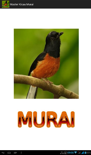 Run android online APK Master Kicau Murai from MyAndroid or emulate Master Kicau Murai using MyAndroid Run android online APK Master Kicau Murai from MyAndroid or emulate Master Kicau Murai using MyAndroid