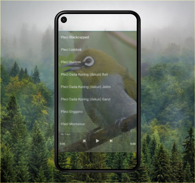 Run android online APK Master Kicau Pleci Juara from MyAndroid or emulate Master Kicau Pleci Juara using MyAndroid Run android online APK Master Kicau Pleci Juara from MyAndroid or emulate Master Kicau Pleci Juara using MyAndroid