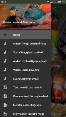 Emulate Android APK Master Lovebird Paud Jahat