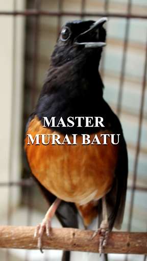 Emulate Android APK Master Murai Batu Emulate Android APK Master Murai Batu