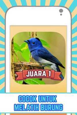 Emulate Android APK Master Suara Burung (Juara 1)
