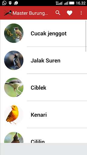 Emulate Android APK Master Suara Burung Kasar
