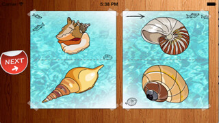 Emulate iPhone app Match Shapes Puzzle - Yozhstudio Baby And Toddler Games using MyAndroid Emulate iPhone app Match Shapes Puzzle - Yozhstudio Baby And Toddler Games using MyAndroid