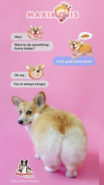 Run android online APK MaxiMojis - Corgi Dog Stickers by fluffy Maxine from MyAndroid or emulate MaxiMojis - Corgi Dog Stickers by fluffy Maxine using MyAndroid Run android online APK MaxiMojis - Corgi Dog Stickers by fluffy Maxine from MyAndroid or emulate MaxiMojis - Corgi Dog Stickers by fluffy Maxine using MyAndroid