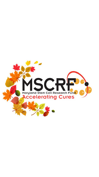 Run android online APK MD Stem Cell Research Fund from MyAndroid or emulate MD Stem Cell Research Fund using MyAndroid Run android online APK MD Stem Cell Research Fund from MyAndroid or emulate MD Stem Cell Research Fund using MyAndroid