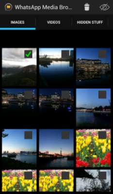 Emulate Android APK Media Gallery for WhatsApp Emulate Android APK Media Gallery for WhatsApp