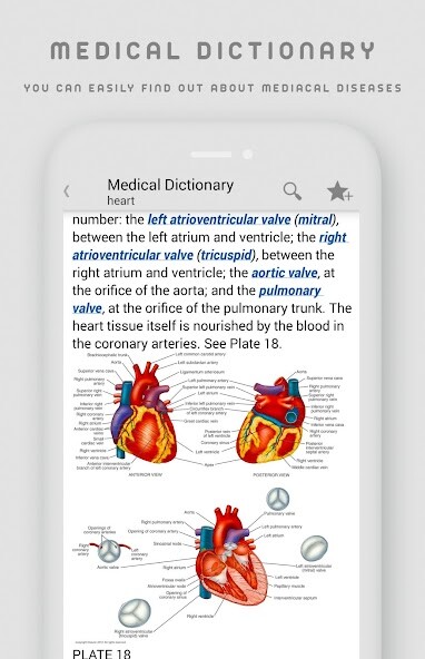 Emulate Medical Dictionary Free from MyAndroid or run Medical Dictionary Free using MyAndroid