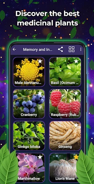 Run android online APK Medicinal Plants and uses from MyAndroid or emulate Medicinal Plants and uses using MyAndroid Run android online APK Medicinal Plants and uses from MyAndroid or emulate Medicinal Plants and uses using MyAndroid