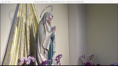 Emulate iPhone app Medjugorje Live Streaming using MyAndroid