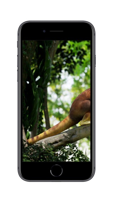 Emulate iPhone app Meet a tree kangaroo using MyAndroid