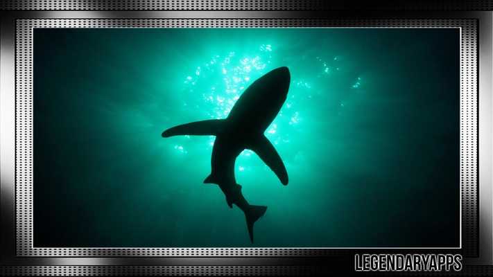 Emulate Android APK Megalodon Wallpaper