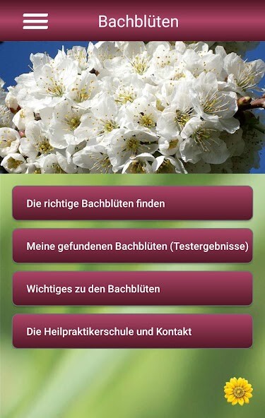 Run android online APK Meine Bachblüten from MyAndroid or emulate Meine Bachblüten using MyAndroid Run android online APK Meine Bachblüten from MyAndroid or emulate Meine Bachblüten using MyAndroid