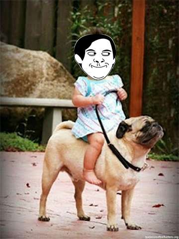 Run android online APK Meme Faces : Rage Comics Sticker from MyAndroid or emulate Meme Faces : Rage Comics Sticker using MyAndroid
