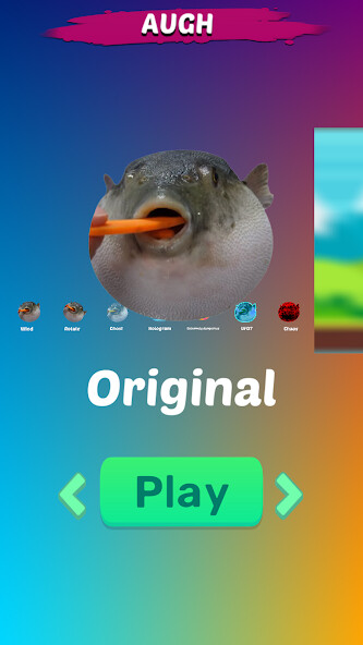 Run android online APK Meme Simulator 48 Puffer Fish from MyAndroid or emulate Meme Simulator 48 Puffer Fish using MyAndroid Run android online APK Meme Simulator 48 Puffer Fish from MyAndroid or emulate Meme Simulator 48 Puffer Fish using MyAndroid
