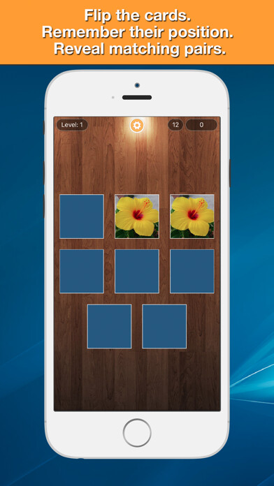 Emulate iPhone app Memo Kid - Matching tile puzzle for children with dog, cat, pig and other home pets using MyAndroid
