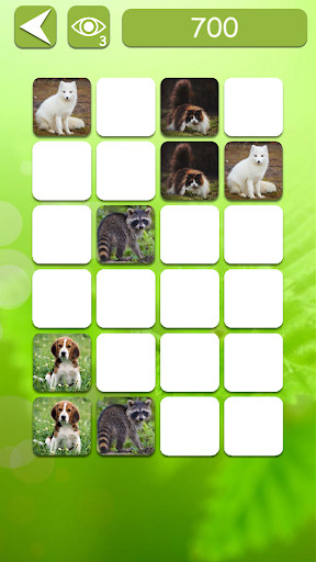 Run android online APK Memory Match - Memory Game from MyAndroid or emulate Memory Match - Memory Game using MyAndroid Run android online APK Memory Match - Memory Game from MyAndroid or emulate Memory Match - Memory Game using MyAndroid
