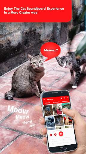 Run android online APK MeowApp - Cute Cat Sound App from MyAndroid or emulate MeowApp - Cute Cat Sound App using MyAndroid Run android online APK MeowApp - Cute Cat Sound App from MyAndroid or emulate MeowApp - Cute Cat Sound App using MyAndroid