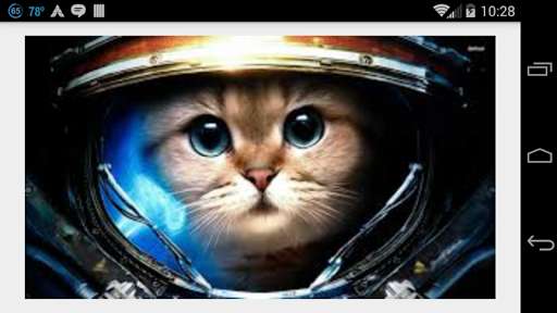 Run android online APK Meow Button - MoonCat from MyAndroid or emulate Meow Button - MoonCat using MyAndroid Run android online APK Meow Button - MoonCat from MyAndroid or emulate Meow Button - MoonCat using MyAndroid