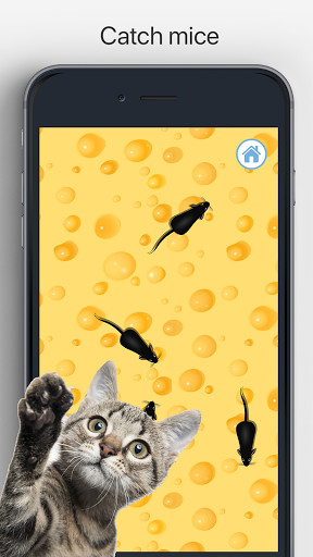 Run android online APK Meow - Cat Toy Games for Cats from MyAndroid or emulate Meow - Cat Toy Games for Cats using MyAndroid Run android online APK Meow - Cat Toy Games for Cats from MyAndroid or emulate Meow - Cat Toy Games for Cats using MyAndroid