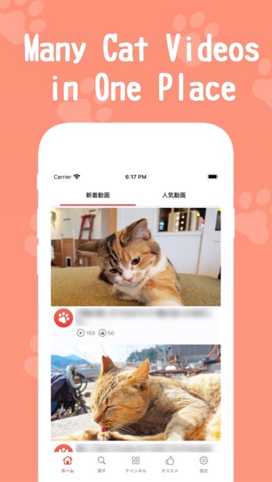 Emulate iPhone app Meow Channel using MyAndroid