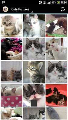 Emulate Android APK Meowie - Cute Cat Wallpapers Emulate Android APK Meowie - Cute Cat Wallpapers