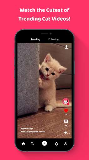 Run android online APK MeowTube - Watch and Share Cat Videos! from MyAndroid or emulate MeowTube - Watch and Share Cat Videos! using MyAndroid