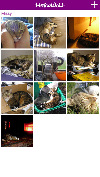 Emulate iPhone app MeowWow using MyAndroid Emulate iPhone app MeowWow using MyAndroid