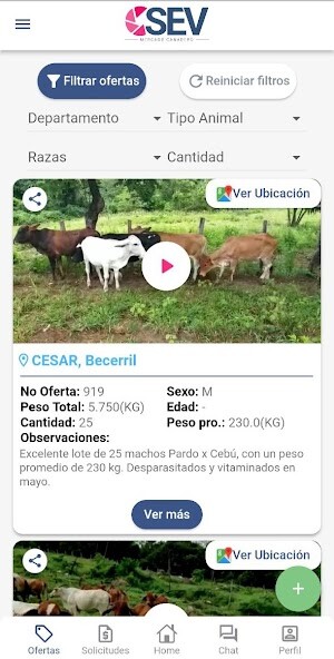 Run android online APK Mercado Ganadero SEV from MyAndroid or emulate Mercado Ganadero SEV using MyAndroid Run android online APK Mercado Ganadero SEV from MyAndroid or emulate Mercado Ganadero SEV using MyAndroid