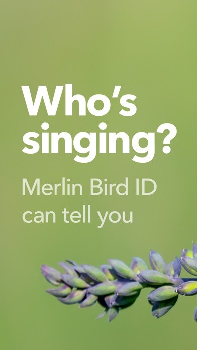 Emulate iPhone app Merlin Bird ID by Cornell Lab using MyAndroid Emulate iPhone app Merlin Bird ID by Cornell Lab using MyAndroid