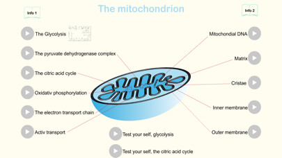 Run android online APK Metabolism from MyAndroid or emulate Metabolism using MyAndroid