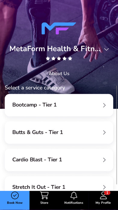 Emulate iPhone app MetaForm using MyAndroid