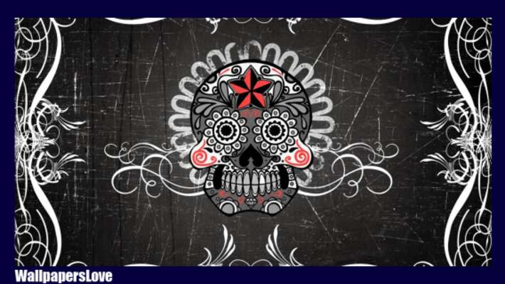 Emulate Android APK Mexican Skull Wallpaper
