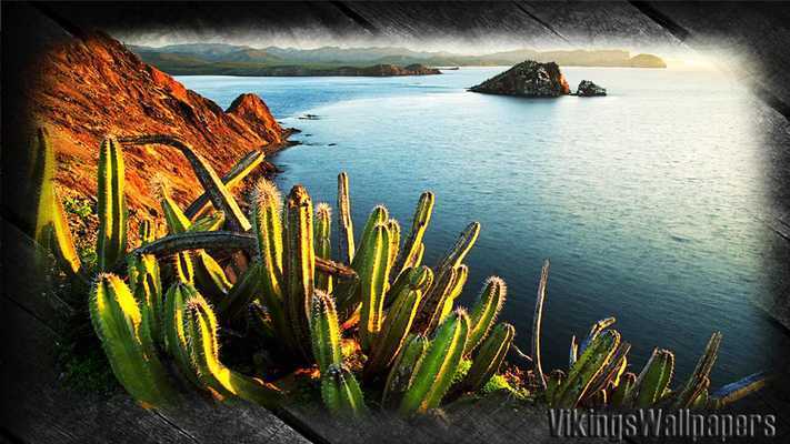 Emulate Android APK Mexico Wallpaper Emulate Android APK Mexico Wallpaper