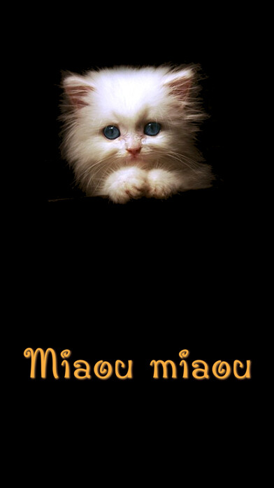 Emulate iPhone app Miaou miaou using MyAndroid Emulate iPhone app Miaou miaou using MyAndroid