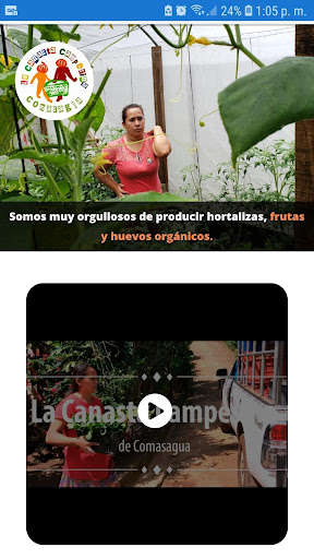 Run android online APK Mi Canasta Campesina from MyAndroid or emulate Mi Canasta Campesina using MyAndroid Run android online APK Mi Canasta Campesina from MyAndroid or emulate Mi Canasta Campesina using MyAndroid