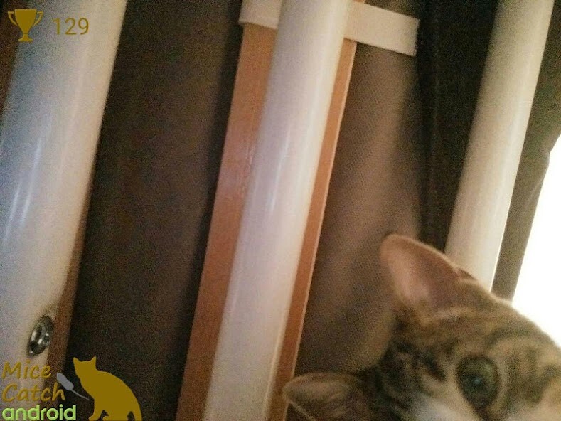 Run android online APK Mice Catch - Cat Game from MyAndroid or emulate Mice Catch - Cat Game using MyAndroid Run android online APK Mice Catch - Cat Game from MyAndroid or emulate Mice Catch - Cat Game using MyAndroid