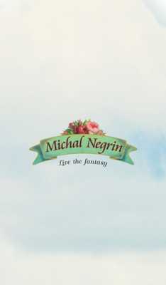 Emulate Android APK Michal Negrin