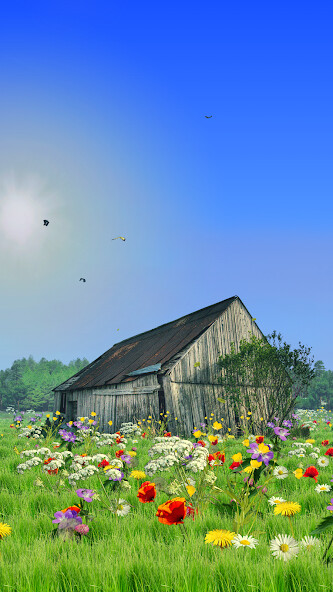 Run android online APK Midsummer Live Wallpaper from MyAndroid or emulate Midsummer Live Wallpaper using MyAndroid Run android online APK Midsummer Live Wallpaper from MyAndroid or emulate Midsummer Live Wallpaper using MyAndroid