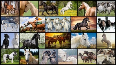 Emulate iPhone app Mighty Horses - Real Horse Picture Puzzle Games for kids using MyAndroid Emulate iPhone app Mighty Horses - Real Horse Picture Puzzle Games for kids using MyAndroid