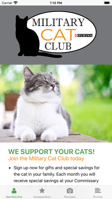 Run android online APK Military Cat Club from MyAndroid or emulate Military Cat Club using MyAndroid Run android online APK Military Cat Club from MyAndroid or emulate Military Cat Club using MyAndroid