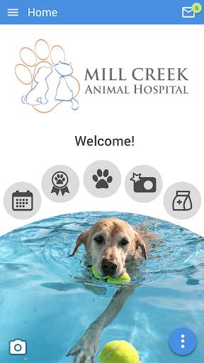 Emulate Android APK Mill Creek Vet Emulate Android APK Mill Creek Vet