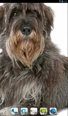 Emulate Android APK Miniature Schnauzer Theme