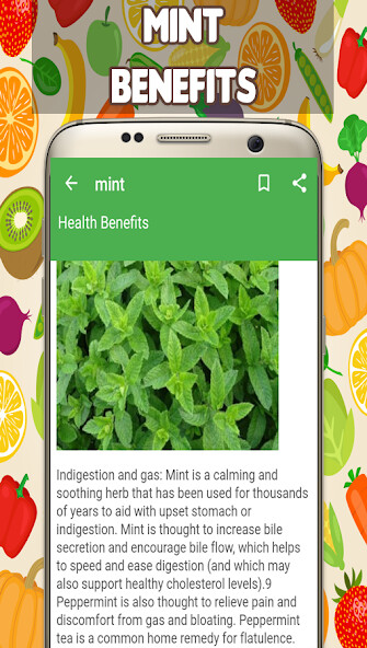 Run android online APK Mint Benefits from MyAndroid or emulate Mint Benefits using MyAndroid Run android online APK Mint Benefits from MyAndroid or emulate Mint Benefits using MyAndroid
