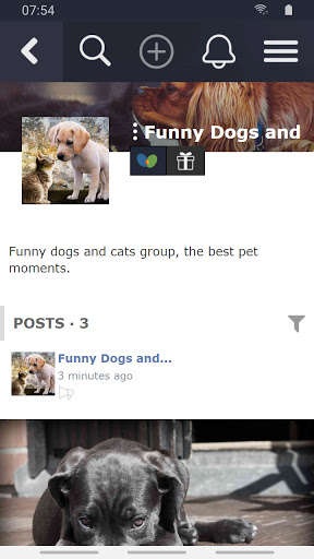 Run android online APK Mioola from MyAndroid or emulate Mioola using MyAndroid