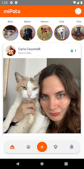 Run android online APK Mi Pata from MyAndroid or emulate Mi Pata using MyAndroid